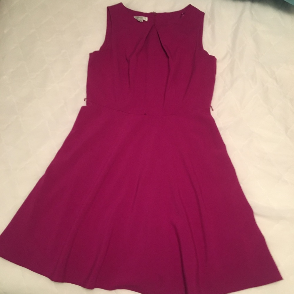Dressbarn Knit Fit & Flare Dress